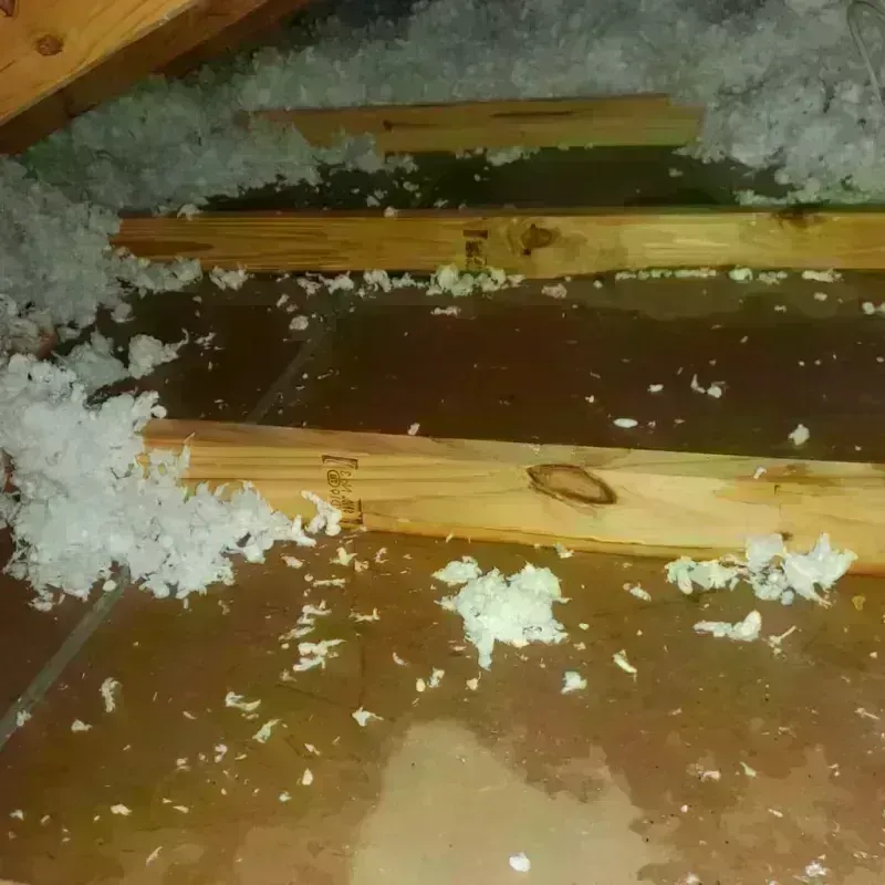 Attic Water Damage in Weymouth, MA